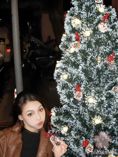 推特约炮大神季伯常原创 约啪多名极品颜值母狗露脸性爱啪啪调教疯狂抽插母狗的骚穴！ 1