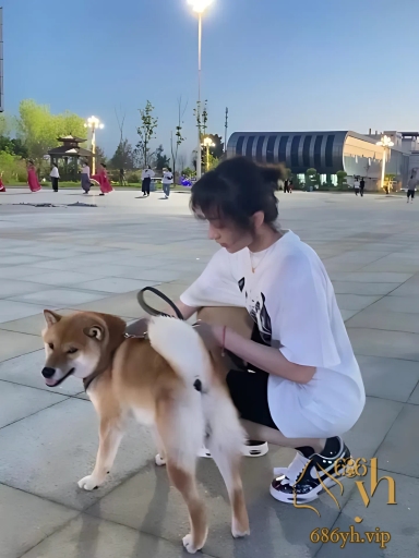 气质少妇约炮猛男私拍 极致身材多姿势蹂躏 口交后入令人魂牵梦绕 3
